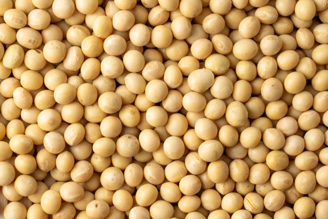 大豆